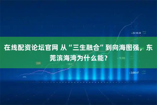 在线配资论坛官网 从“三生融合”到向海图强，东莞滨海湾为什么能？