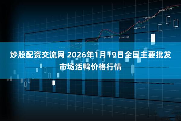 炒股配资交流网 2026年1月19日全国主要批发市场活鸭价格行情